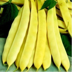 Seminte de fasole Capitano 50 gr