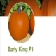 Seminte dovleac early king 1000 seminte