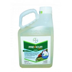 Fungicid PREVICUR ENERGY - 5 Litri