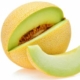 Pepene galben GHARAM F1 500 SEMINTE
