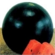 Pepene verde HUELVA F1 RZ 1000 SEMINTE
