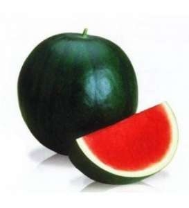 Pepene verde Morena F1 1000 sem