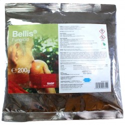 Bellis - 200 gr