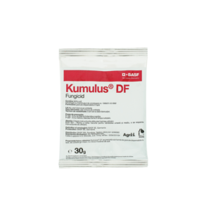 Fungicid - Kumulus DF 30gr